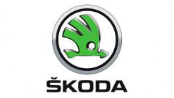 EVA коврики для Skoda (все модели)
