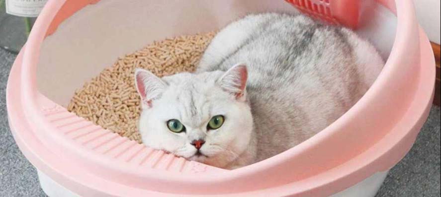 EVA коврик для кошачьего туалета под лоток